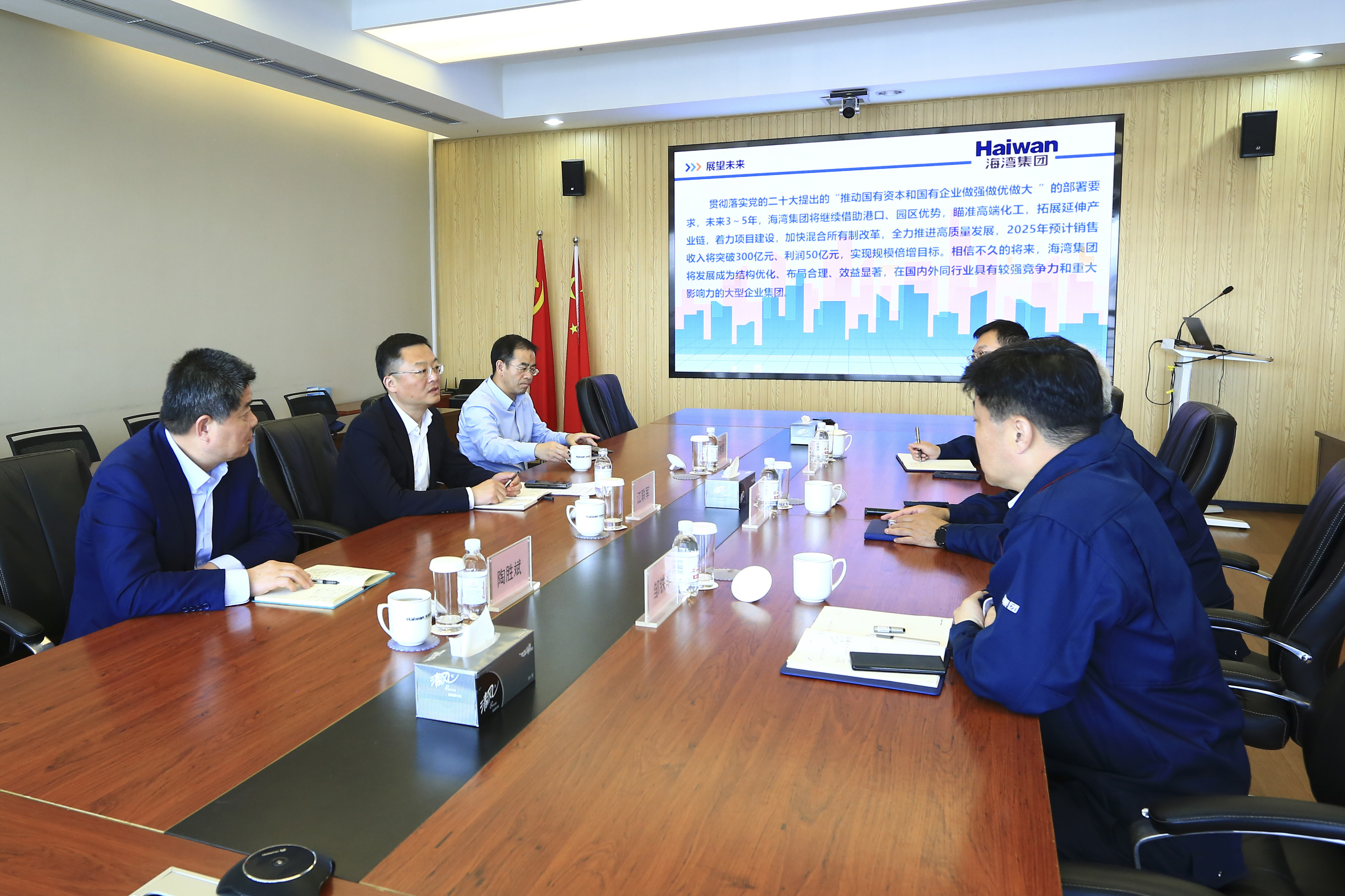 市(shì)政府副秘書長到(dào)海灣化學調研