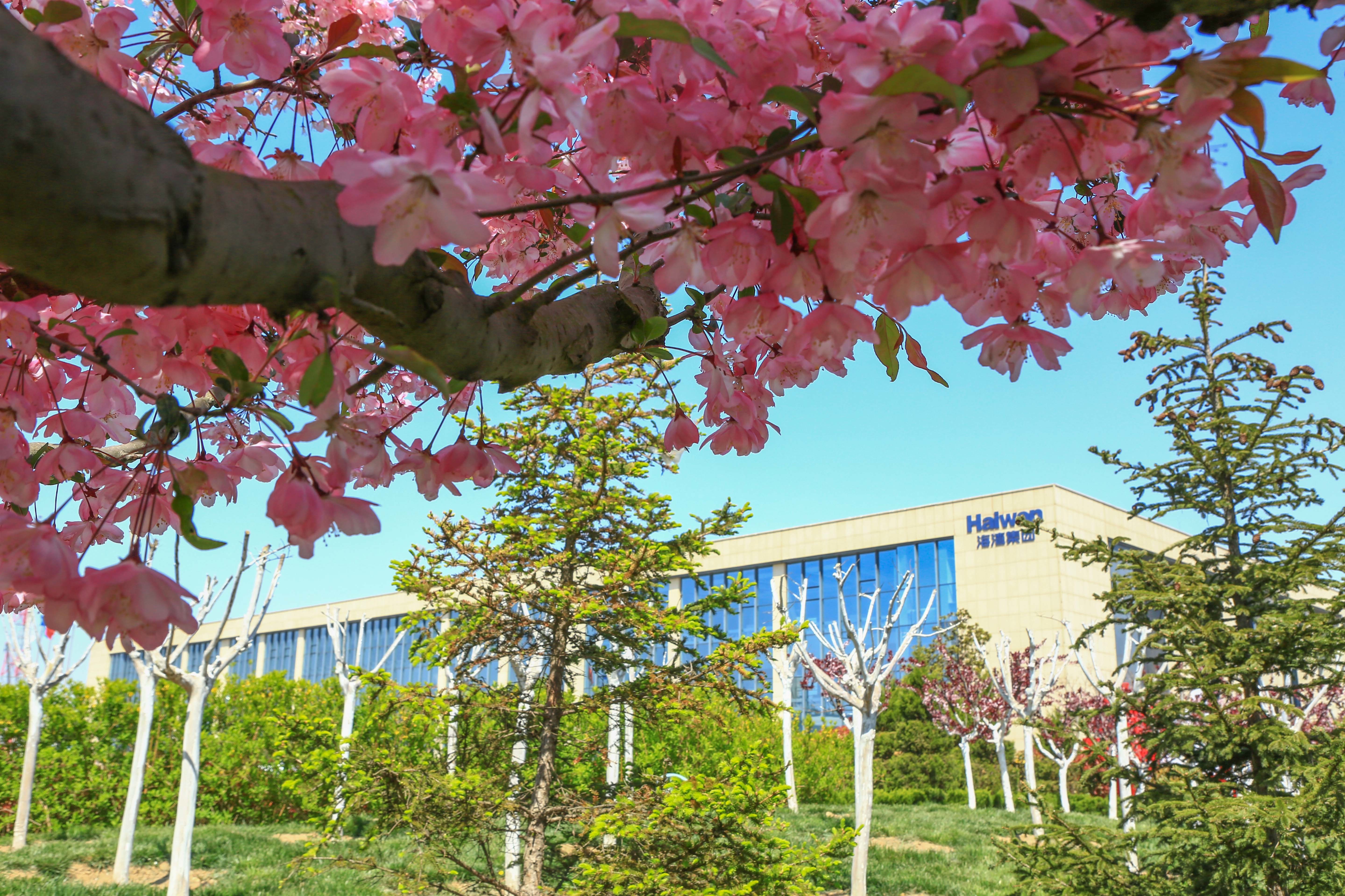 海(hǎi)灣化學(xue)組織“愛(ài)心基金(jin)”捐款