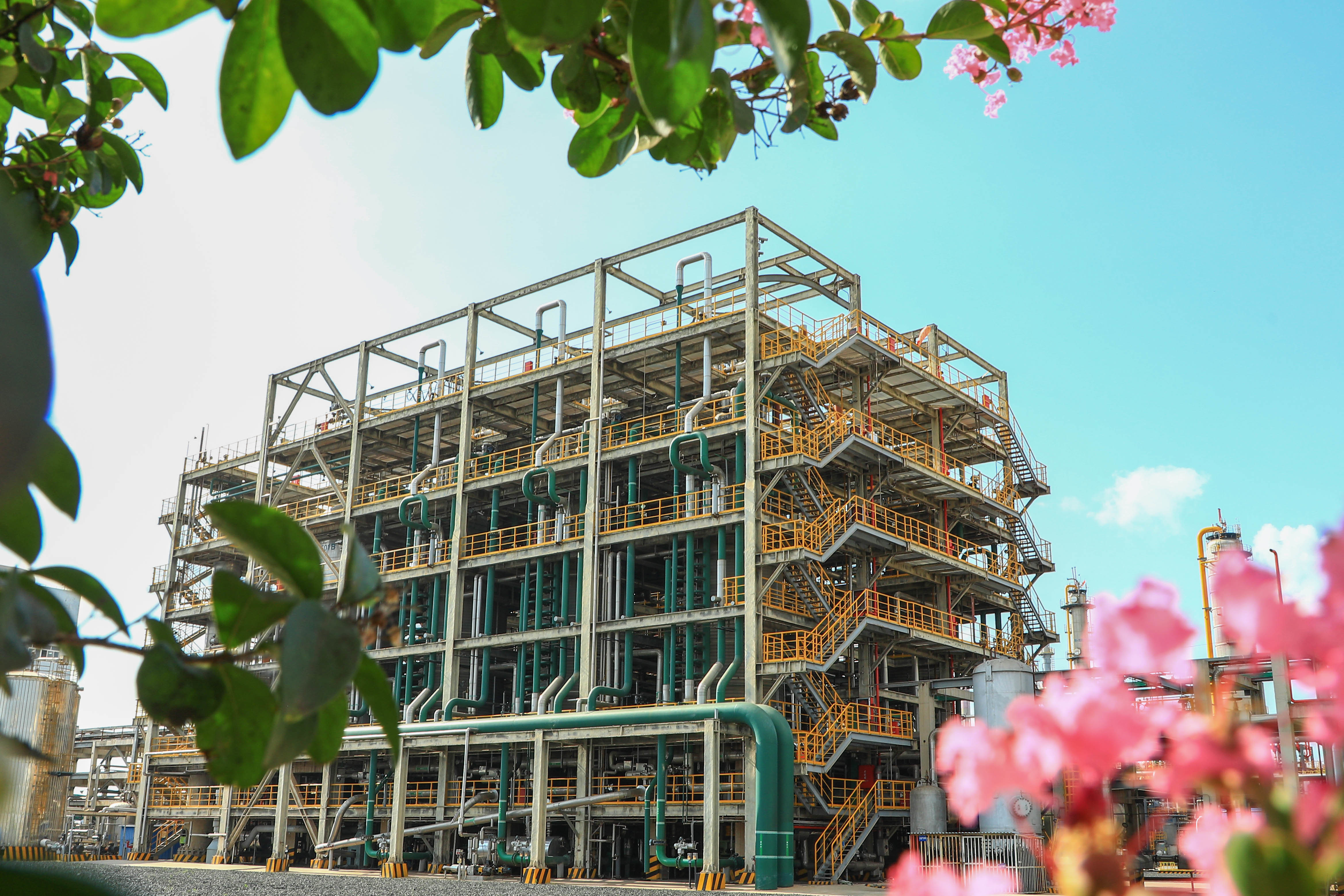 海灣化(huà)學上榜中(zhong)國品牌價(jia)值排行榜(bang)